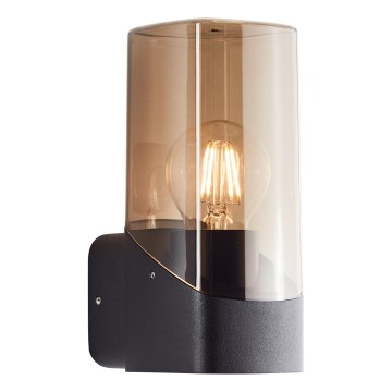 Brilliant - Väli seinavalgusti MINOU 1xE27/10W/230V IP44 must/suitsune