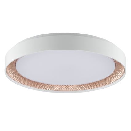 Brilliant - WALDO LED-hämardatav laelamp, 36 W, 230 V, reguleeritav värvitemperatuur 3000–6500 K, Ø 48,5 cm, valge/roosakuld, koos kaugjuhtimispuldiga