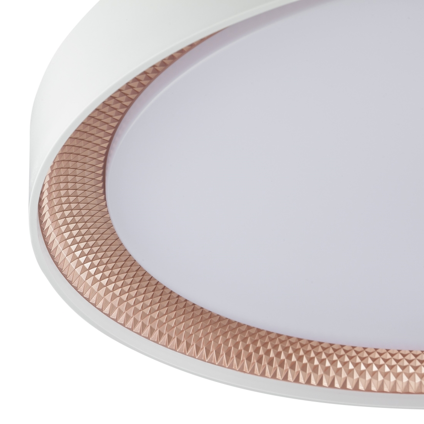 Brilliant - WALDO LED-hämardatav laelamp, 36 W, 230 V, reguleeritav värvitemperatuur 3000–6500 K, Ø 48,5 cm, valge/roosakuld, koos kaugjuhtimispuldiga