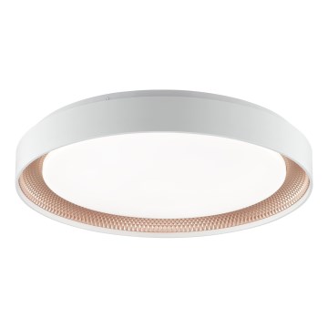 Brilliant - WALDO LED-hämardatav laelamp, 36 W, 230 V, reguleeritav värvitemperatuur 3000–6500 K, Ø 48,5 cm, valge/roosakuld, koos kaugjuhtimispuldiga