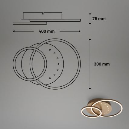 Brilo - Hämardatav LED laevalgusti LED/26W/230V 3000K pruun
