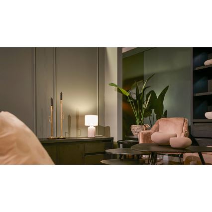 Brilo - laualamp INO 1xE14/10W/230V pruun