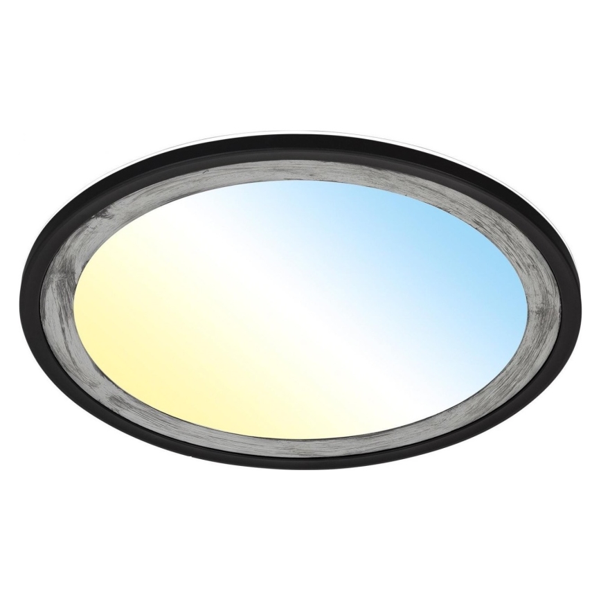 Brilo - LED Hämardatav laevalgusti SLIM LED/22W/230V 2700-6500K + kaugjuhtimispult