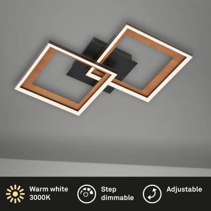 Brilo - LED Hämardatav pinnale kinnitatav lühter FRAME 2xLED/11W/230V