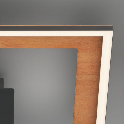 Brilo - LED Hämardatav pinnale kinnitatav lühter FRAME 2xLED/11W/230V