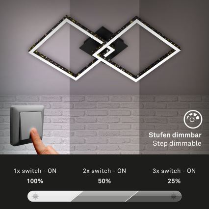 Brilo - LED Hämardatav pinnale kinnitatav lühter FRAME 2xLED/9W/230V