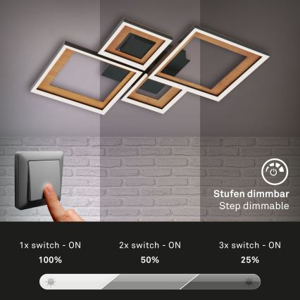 Brilo - LED Hämardatav pinnale kinnitatav lühter FRAME LED/38W/230V