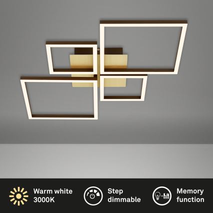 Brilo - LED Hämardatav pinnale kinnitatav lühter FRAME LED/44W/230V