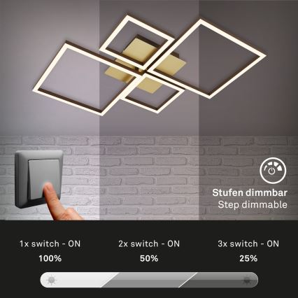 Brilo - LED Hämardatav pinnale kinnitatav lühter FRAME LED/44W/230V