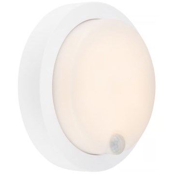 Brilo - LED laetav välistingimustele mõeldud seinale paigaldatav valgusti anduriga, LED/4W/5V, 4400 mAh, IP44, valge