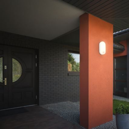 Brilo - LED välisseinavalgusti liikumis- ja hämarussensoriga RUCH LED/12W/230V IP65 valge