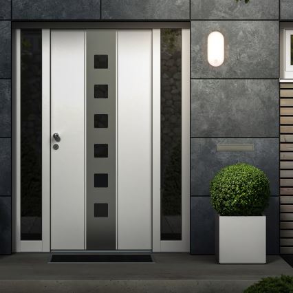 Brilo - LED välisseinavalgusti liikumis- ja hämarussensoriga RUCH LED/12W/230V IP65 valge