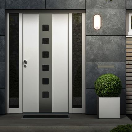 Brilo - LED välisseinalamp liikumis- ja hämarussensoriga RUCH LED/12W/230V IP65 must