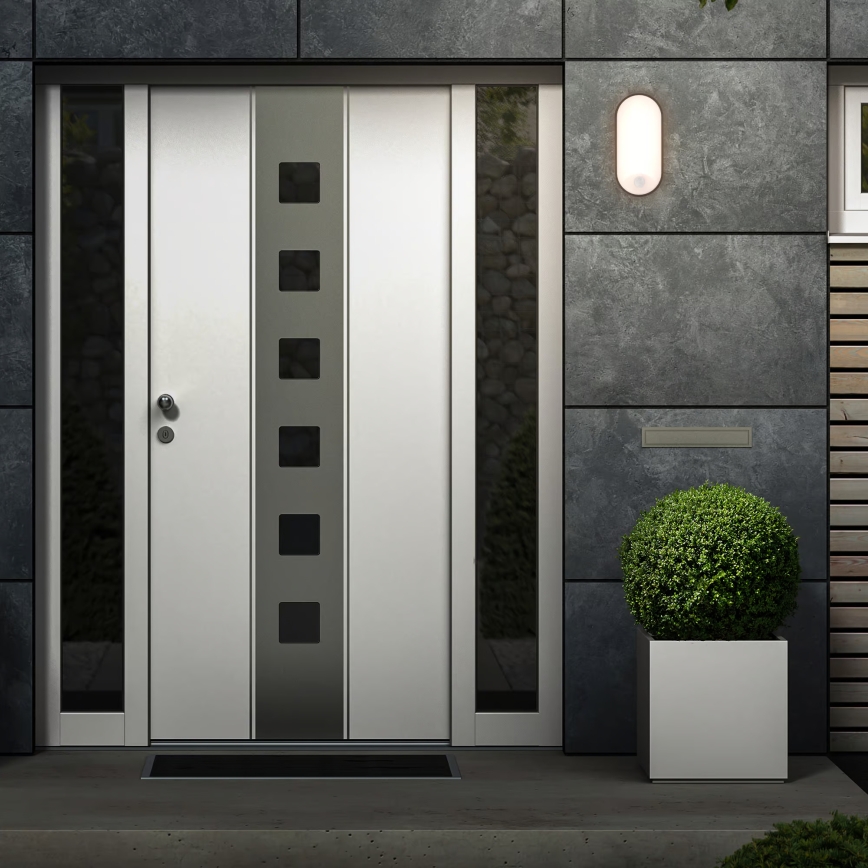 Brilo - LED välisseinalamp liikumis- ja hämarussensoriga RUCH LED/12W/230V IP65 must