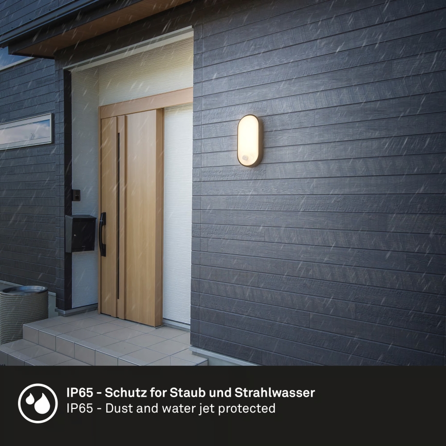 Brilo - LED välisseinalamp liikumis- ja hämarussensoriga RUCH LED/12W/230V IP65 must