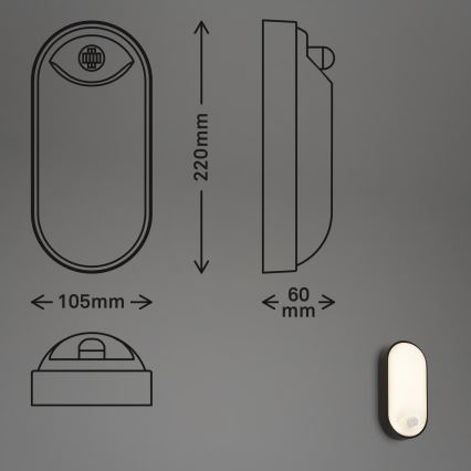 Brilo - LED välisseinalamp liikumis- ja hämarussensoriga RUCH LED/12W/230V IP65 must