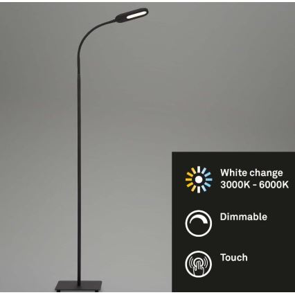 Briloner 1297-015 - LED Hämardatav paindlik põrandalamp LED/6,6W/230V 3000K/4000K/6000K