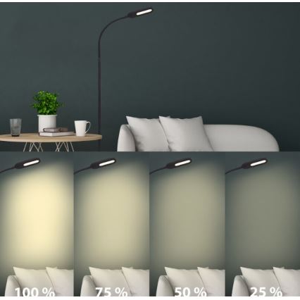 Briloner 1297-015 - LED Hämardatav paindlik põrandalamp LED/6,6W/230V 3000K/4000K/6000K