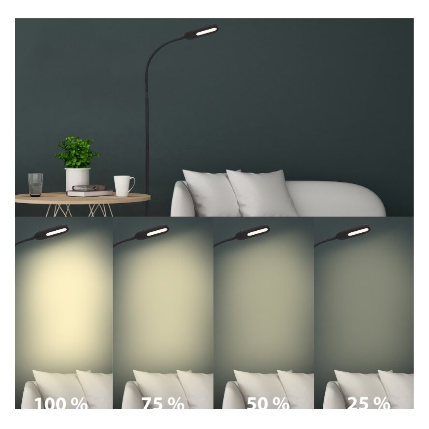 Briloner 1297-015 - LED Hämardatav paindlik põrandalamp LED/6,6W/230V 3000K/4000K/6000K
