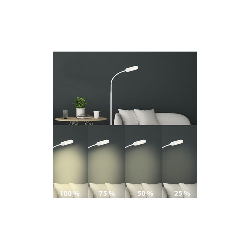 Briloner 1297-016 - LED Hämardatav puutetundlik põrandalamp LED/8W/230V 3000/4000/6000K