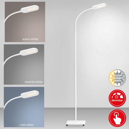 Briloner 1297-016 - LED Hämardatav puutetundlik põrandalamp LED/8W/230V 3000/4000/6000K