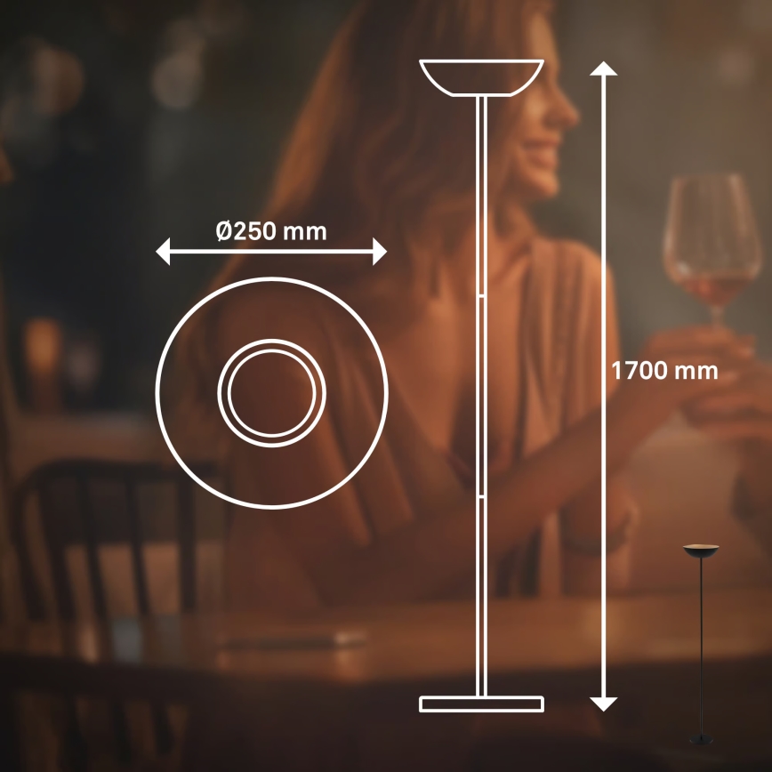 Briloner 1500015 - ESTATE LED hämardatav põrandalamp LED/8W/5V 4000 mAh must
