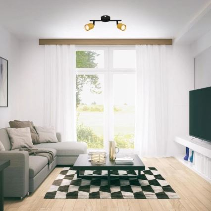 Briloner 2145-027 - Suunavalgusti 2xGU10/9W/230V