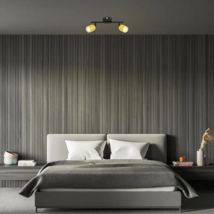 Briloner 2145-027 - Suunavalgusti 2xGU10/9W/230V