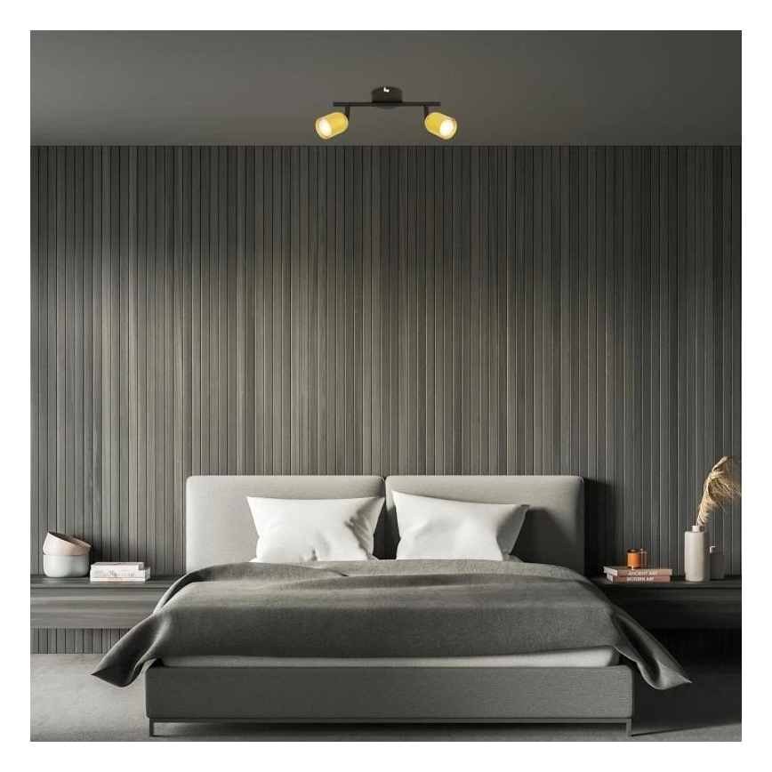 Briloner 2145-027 - Suunavalgusti 2xGU10/9W/230V