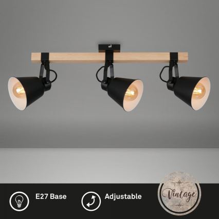 Briloner 2406-035 - Kohtvalgusti SPOT 3xE27/40W/230V