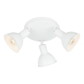 Briloner 2674-036 - Kohtvalgusti RETRO 3xE14/25W/230V valge