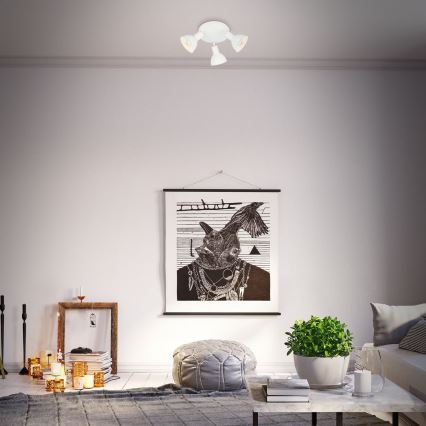 Briloner 2674-036 - Kohtvalgusti RETRO 3xE14/25W/230V valge