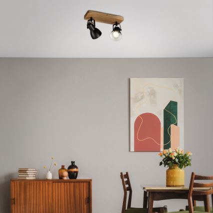Briloner 2902-025 - Kohtvalgusti SPOT 2xGU10/35W/230V