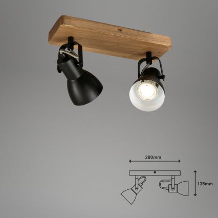 Briloner 2902-025 - Kohtvalgusti SPOT 2xGU10/35W/230V