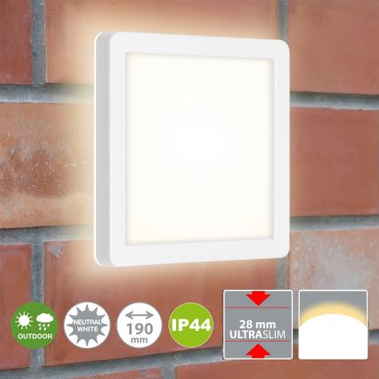 Briloner 3010-016 - LED Laevalgusti LED/8W/230V 19x19 cm valge IP44