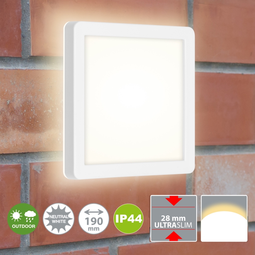 Briloner 3010-016 - LED Laevalgusti LED/8W/230V 19x19 cm valge IP44