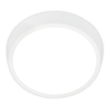 Briloner 3018-016 - LEd Väli laevalgusti HAGEN LED/24W/230V 4000K IP44 valge