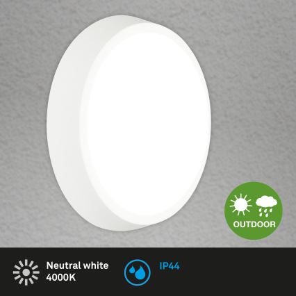 Briloner 3018-016 - LEd Väli laevalgusti HAGEN LED/24W/230V 4000K IP44 valge