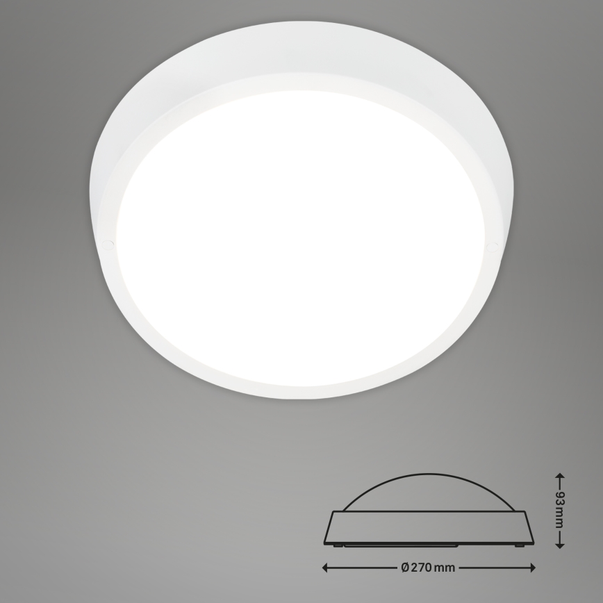 Briloner 3018-016 - LEd Väli laevalgusti HAGEN LED/24W/230V 4000K IP44 valge