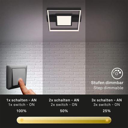 Briloner 3028-015 - LED Hämardatav laevalgusti FRAME LED/38W/230V