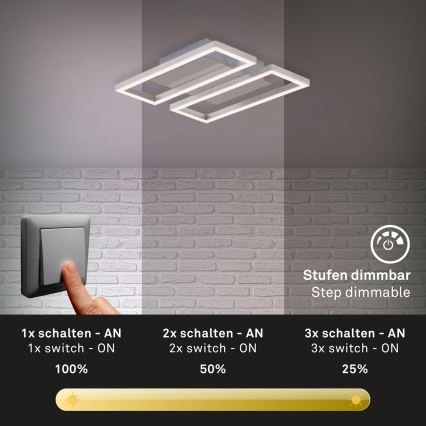 Briloner 3107-012 - LED Hämardatav laevalgusti FRAME 2xLED/7,25W/230V