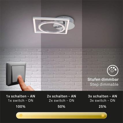 Briloner 3114-018 - LED Hämardatav laevalgusti FRAME LED/19,6W/230V 3000K