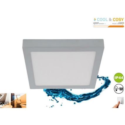 Briloner 3142-018 - LED Laevalgusti vannituppa COOL&COSY LED/21W/230V 2700/4000K IP44