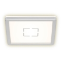 Briloner 3174-014 - LED Laevalgusti FREE LED/12W/230V 19x19 cm