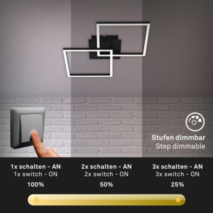 Briloner 3210-015 - LED Hämardatav laevalgusti FRAME 2xLED/11W/230V must