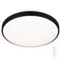 Briloner 3430-015 - LED Hämardatav laevalgusti MANNY LED/48W/230V + kaugjuhtimispult