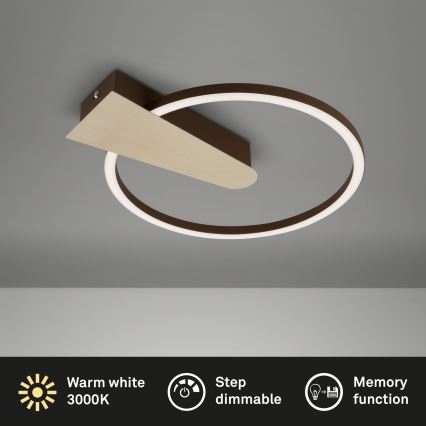 Briloner 3542017 - LED Hämardatav laevalgusti NICO LED/12W/230V kuldne