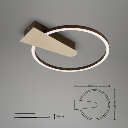 Briloner 3542017 - LED Hämardatav laevalgusti NICO LED/12W/230V kuldne