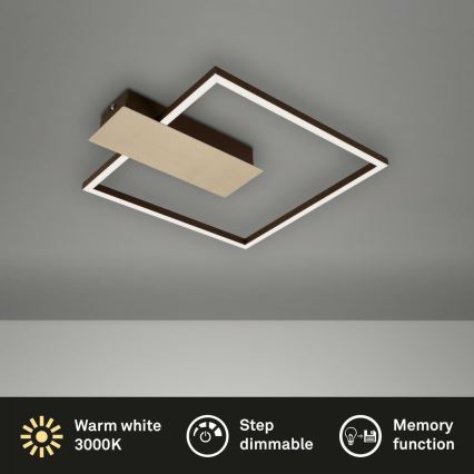 Briloner 3544-017 - LED Hämardatav laevalgusti NICO LED/12W/230V kuldne