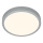 Briloner 3703-014 - LED Laevalgusti RUNA LED/24W/230V 3000K d. 38 cm hõbedane